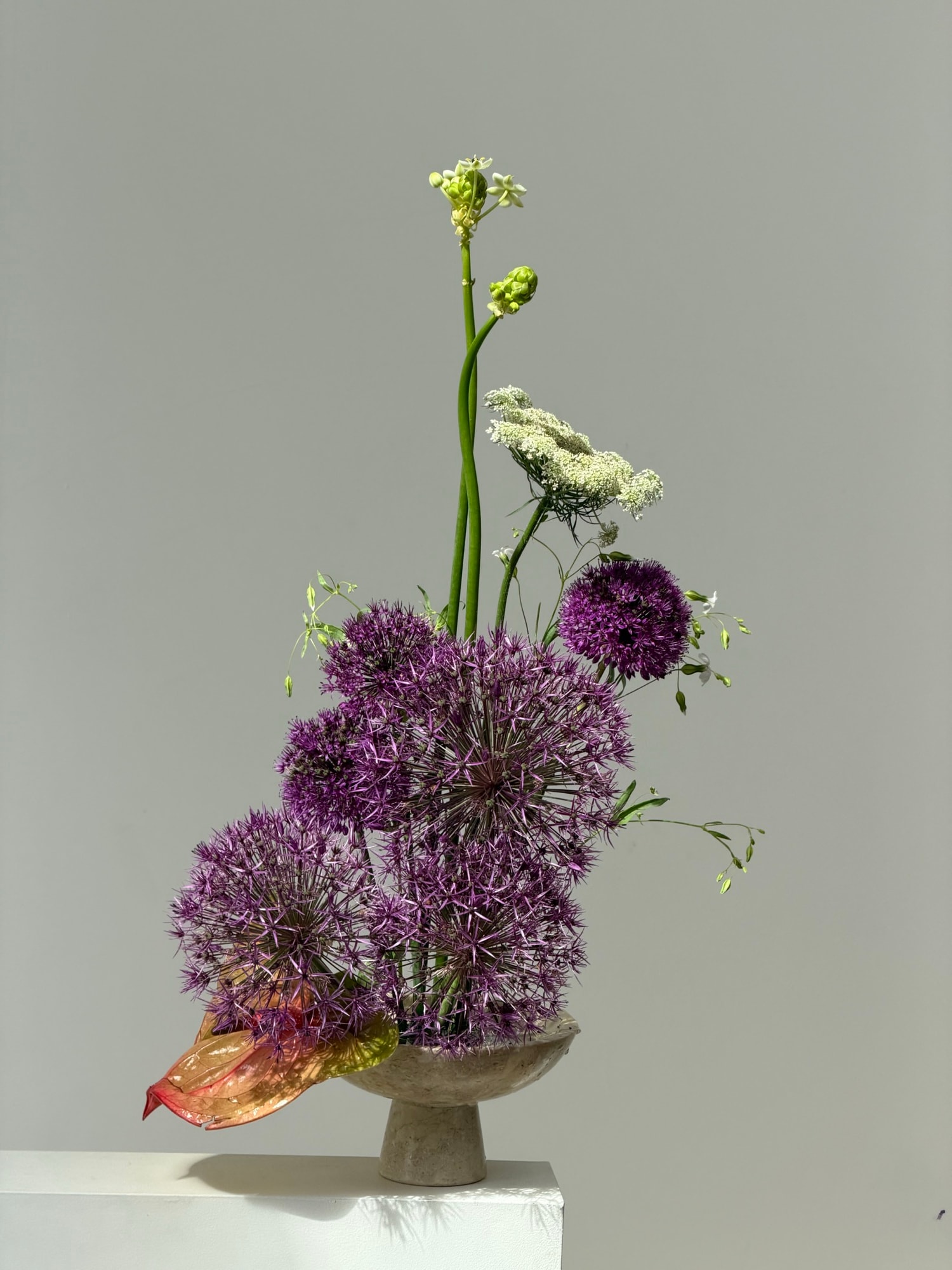 Horizontal purple allium arrangement with Queen Anne's lace in a small ceramic vase on a white plinth