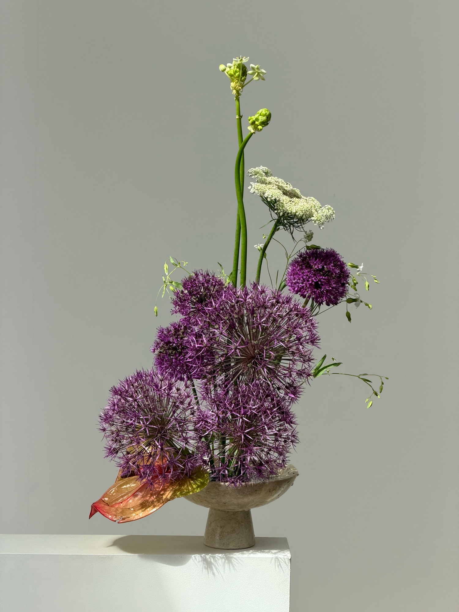 Cantilevered purple alliums and lace flowers extending from a ceramic vase on a white pillar