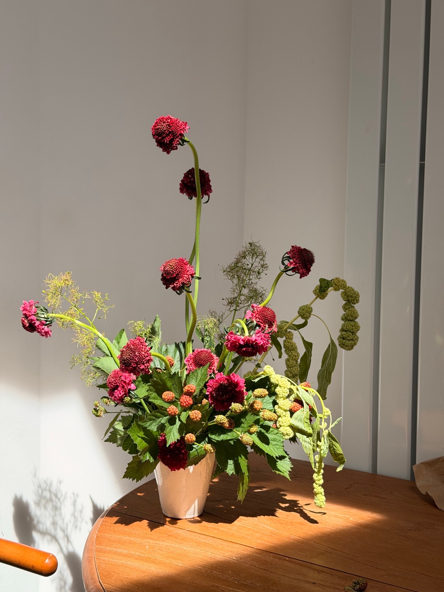 Airy deep-red blooms on curving stems in a pale cylinder vase casting long shadows on a white wall
