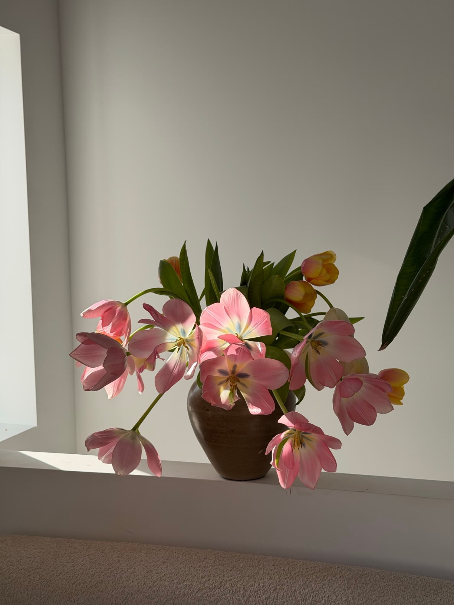 Bouquet photograph with a provisional identification of Tulip
