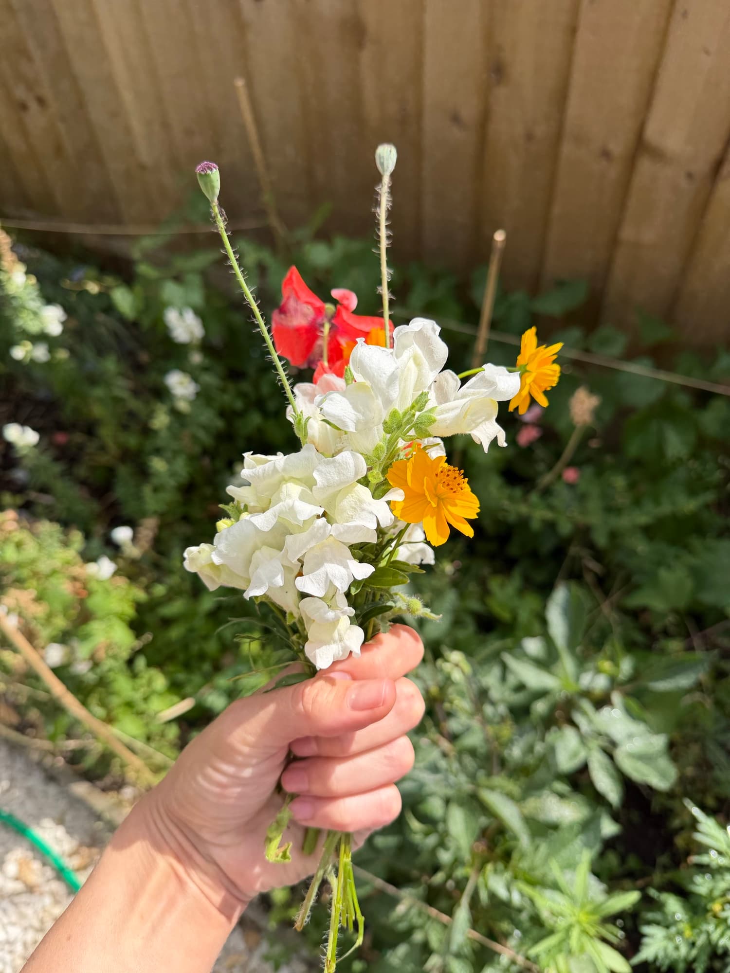 Bouquet photograph with a provisional identification of Snapdragon