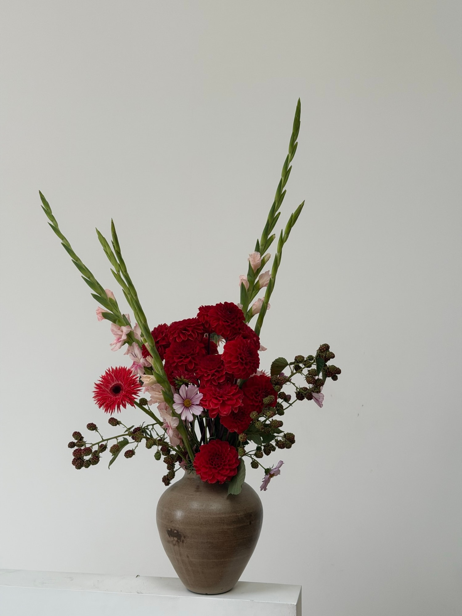 Sculptural red dahlias and pink cosmos with long gladiolus stems in a matte grey-brown ceramic vase