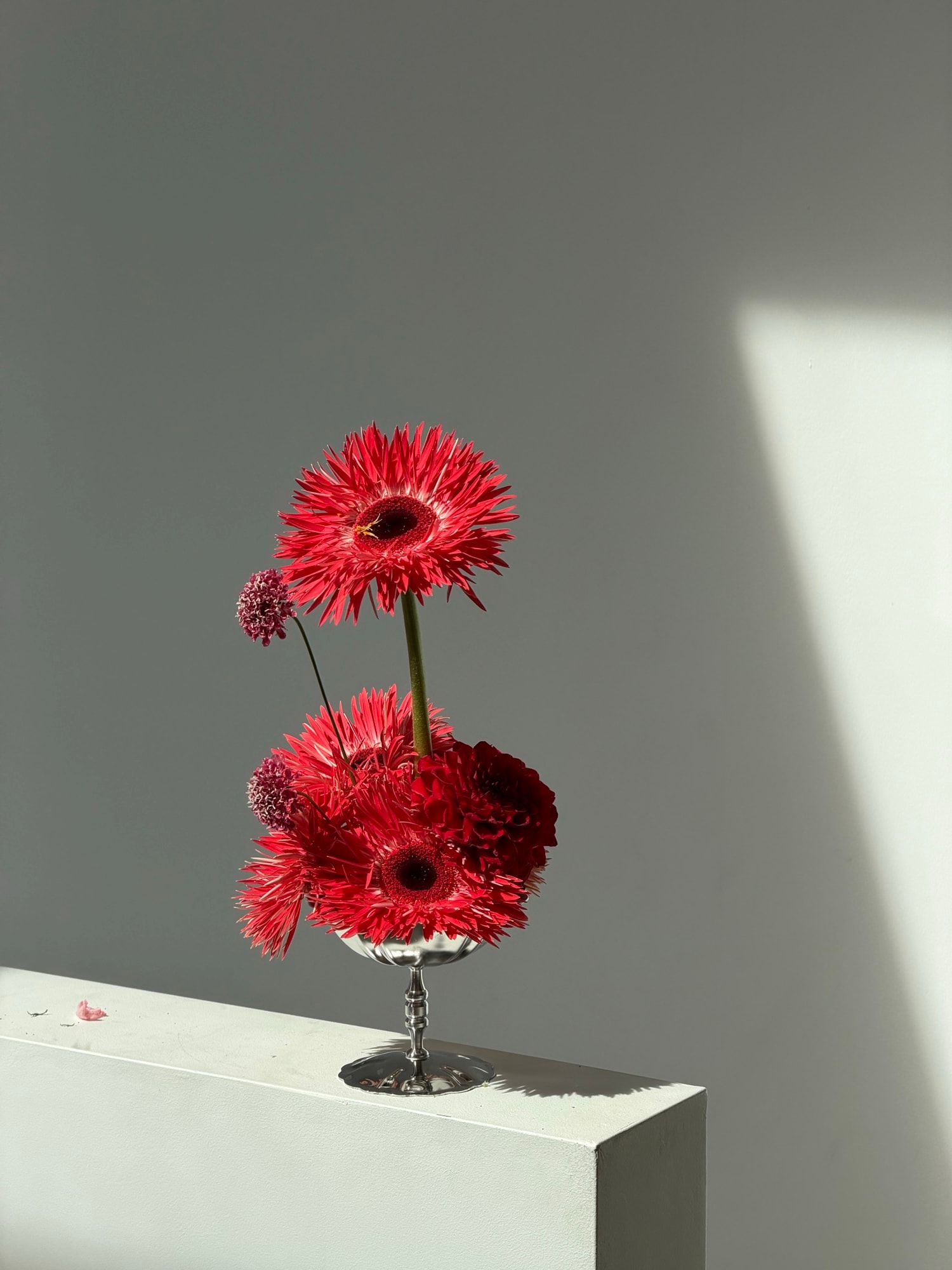 Red spider gerberas and dark textural blooms in a clear footed glass vase on a white pedestal