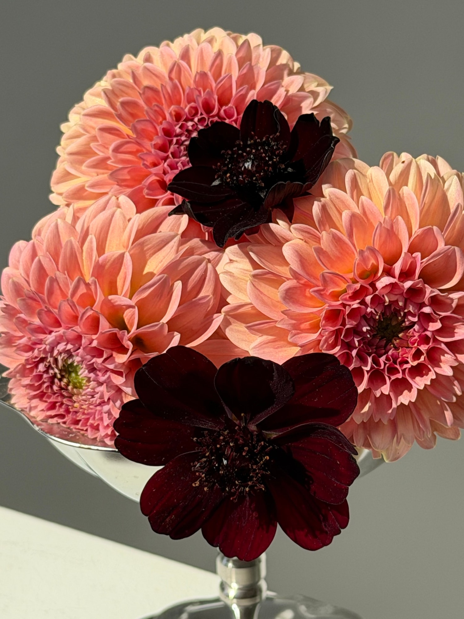 Close top-down cluster of peach dahlias and dark burgundy cosmos in a silver vessel